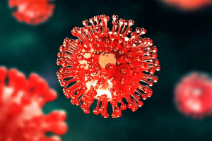 U Dubrovačko-neretvanskoj županiji u posljednja 24 sata zabilježeno je 618 novih slučajeva zaraze koronavirusom
