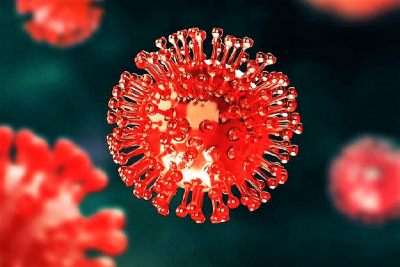 U Dubrovačko-neretvanskoj županiji u posljednja 24 sata zabilježeno je 57 novih slučaja zaraze koronavirusom.