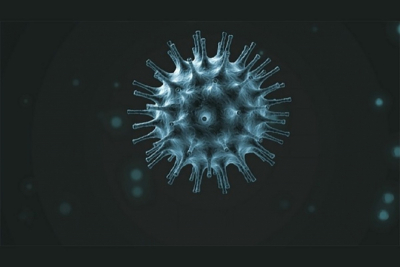 U Dubrovačko-neretvanskoj županiji u posljednja 24 sata zabilježeno je 40 novih slučajeva zaraze koronavirusom