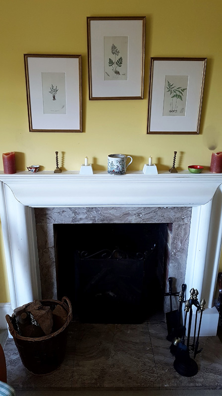 44385025_277822083066220_2945935166591205376_n