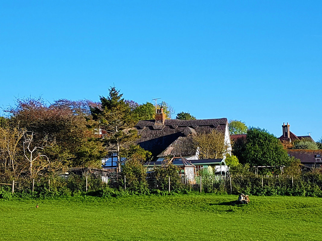 44386688_1930836890369710_6490879315897483264_n