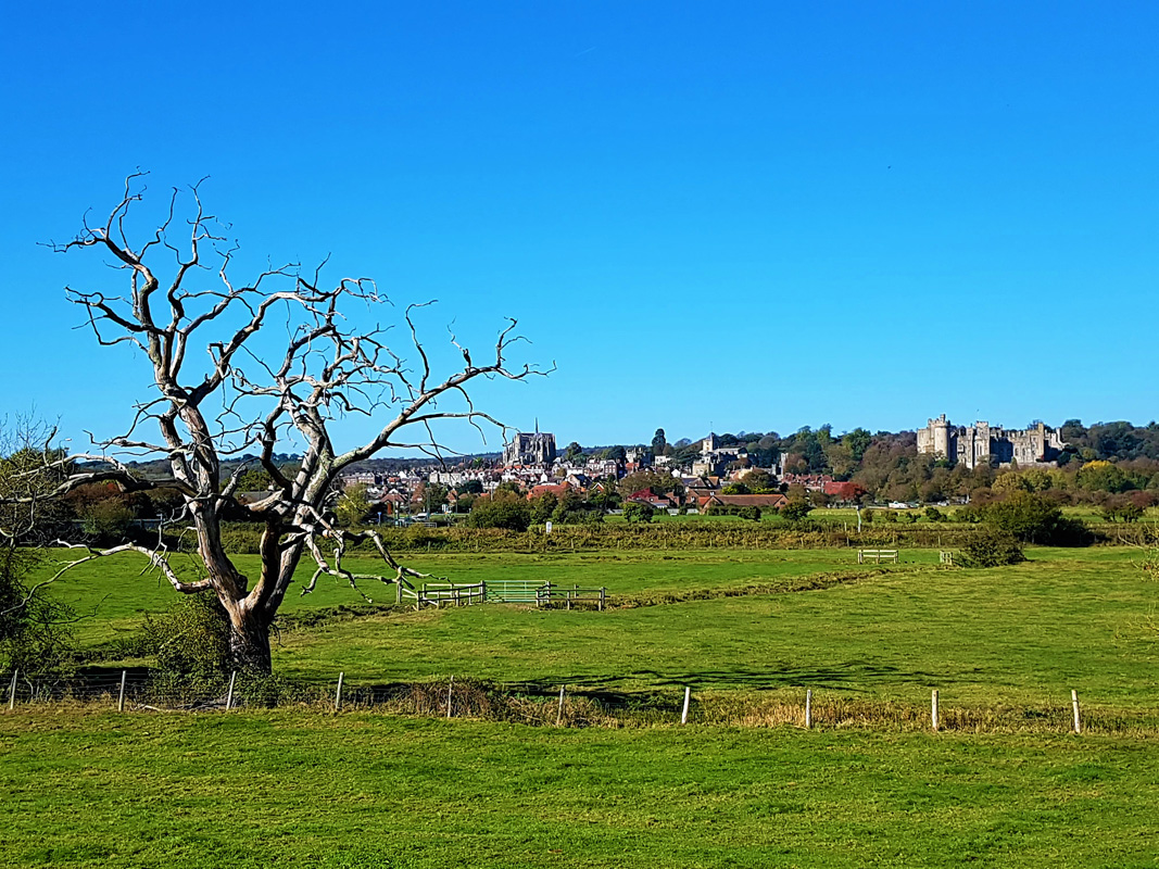 44453009_1105302559628950_3405246408108802048_n