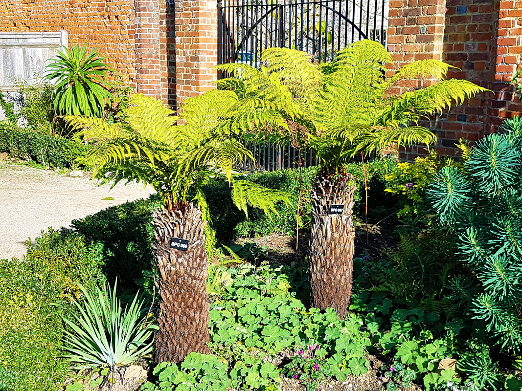 44500812_584925268591993_6653793382554402816_n