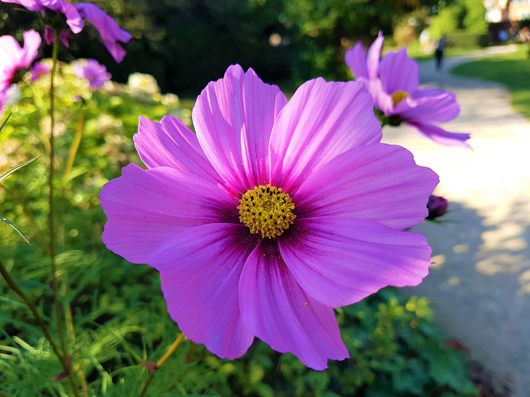 44571445_297484307522426_6175642344302313472_n