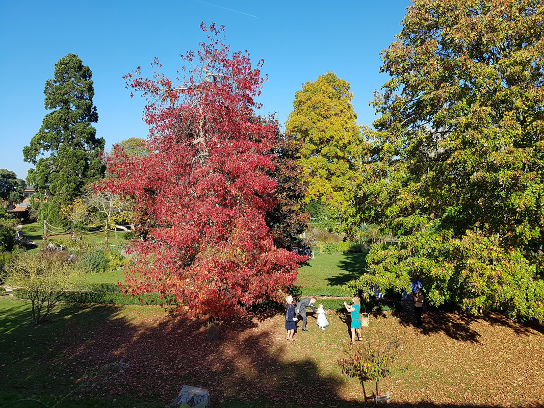 44628851_254156781966266_8792872793168412672_n