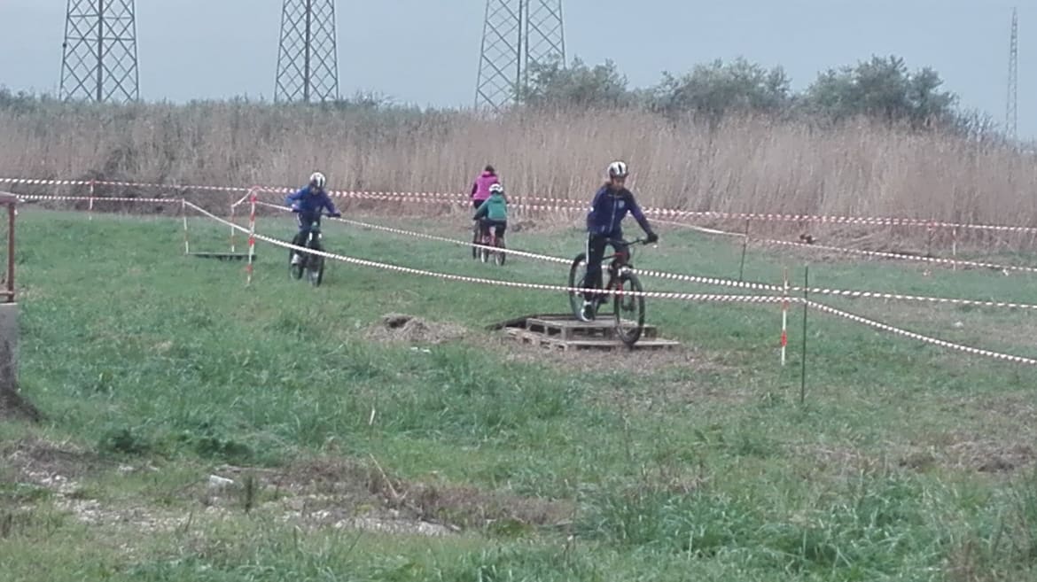 47433852_195942207978039_804178771581075456_n
