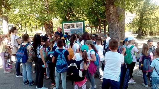 izlet ploce 19 6m