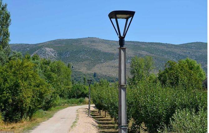 65459831_879446415725055_5625314582504407040_n