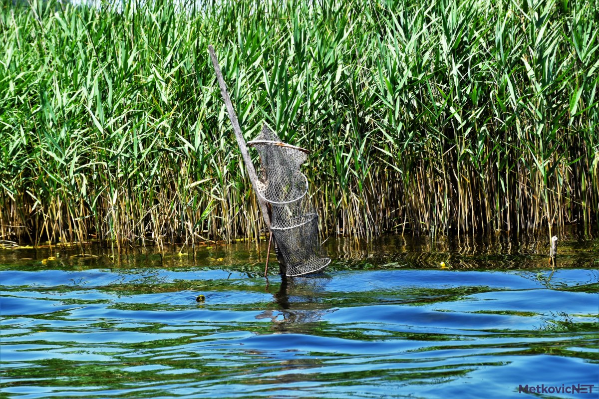 _DSC0338