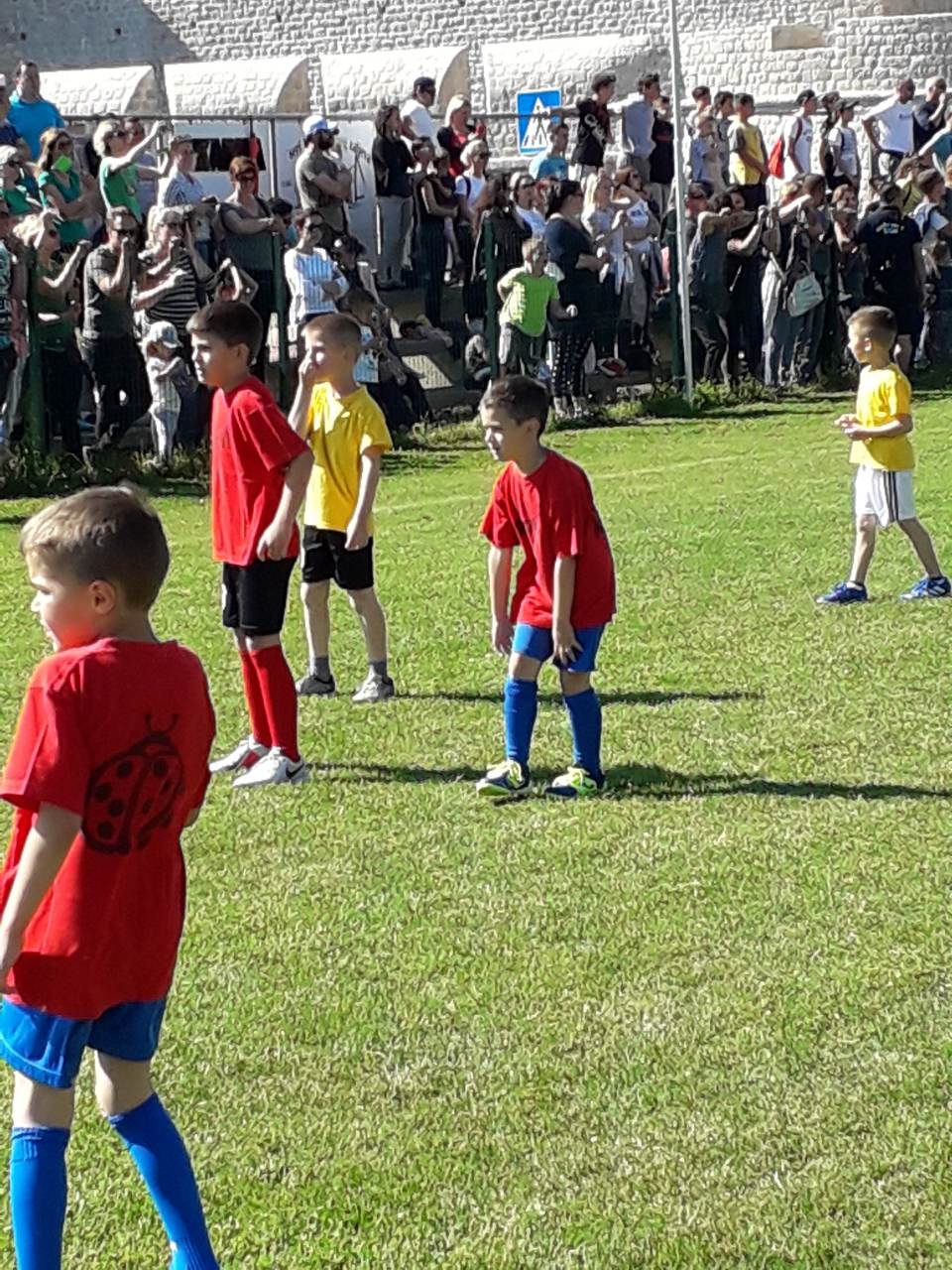 PHOTO-2019-06-01-21-06-35_1