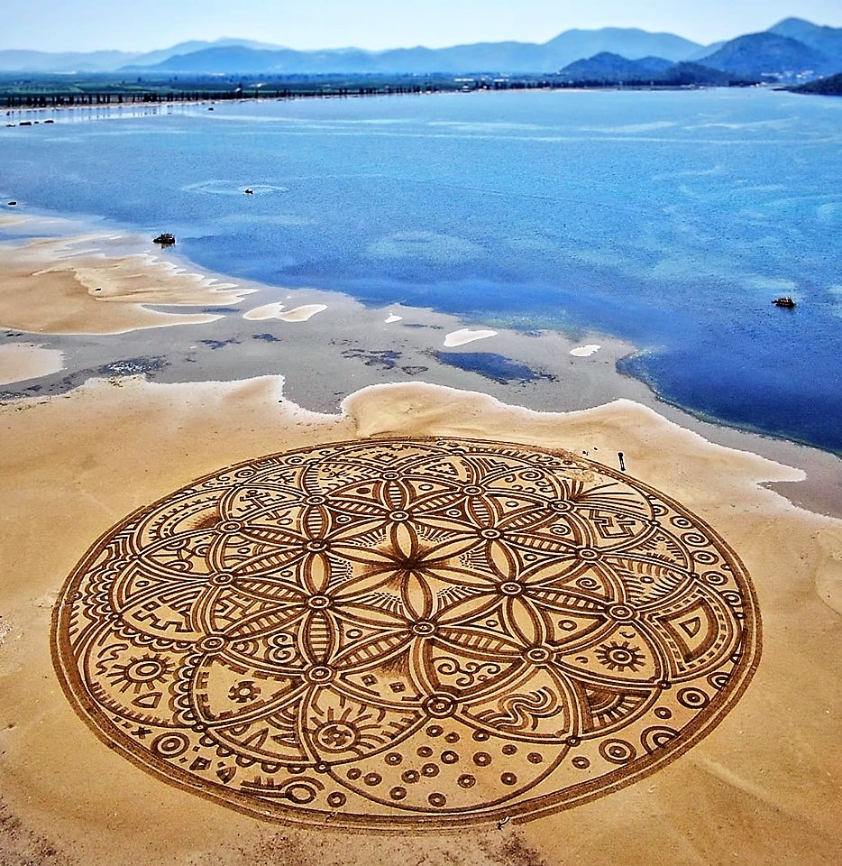 65557962_2389534554403257_4155766628547559424_n 1