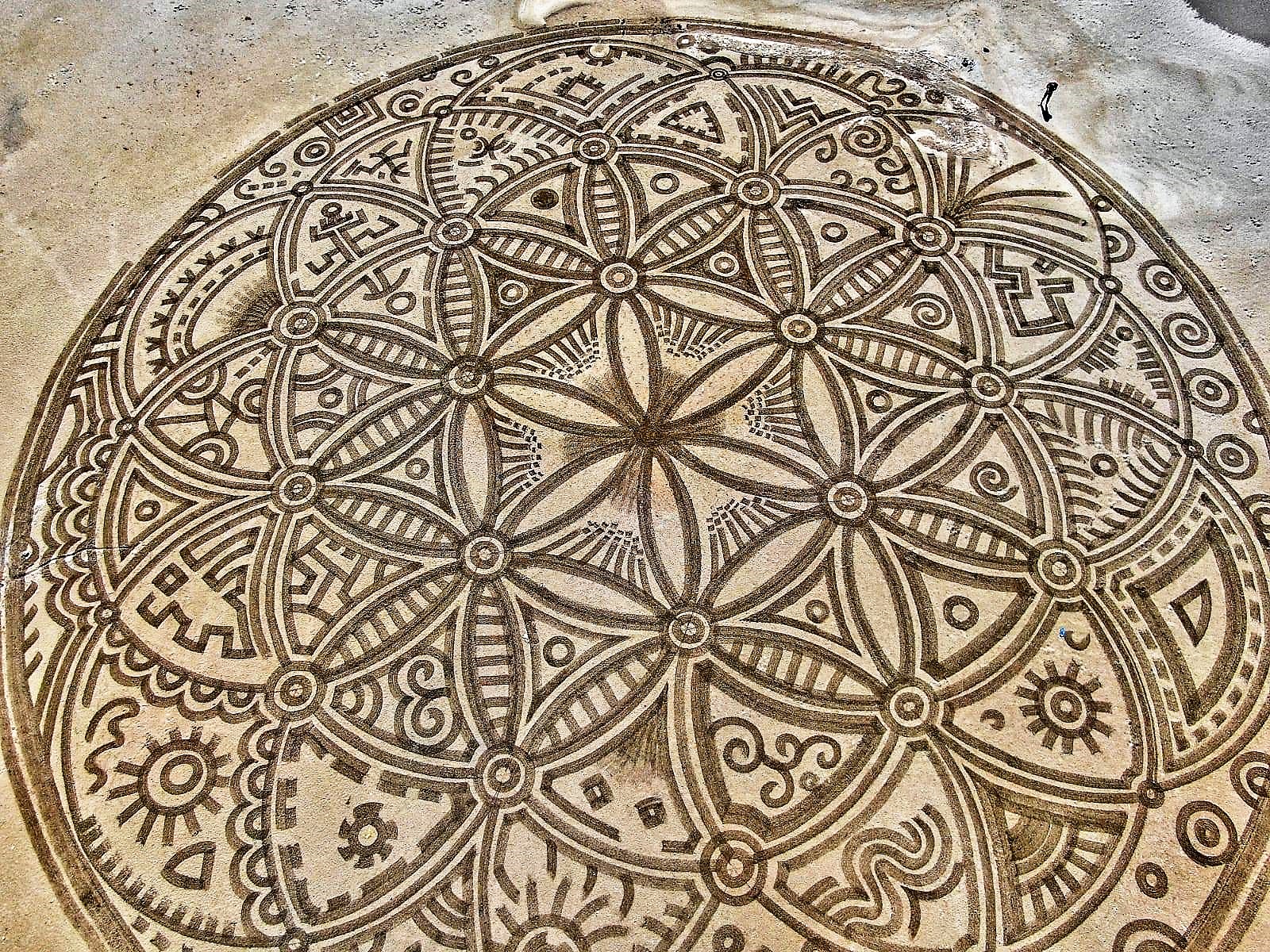 65886745_2389534561069923_4418449173423063040_o