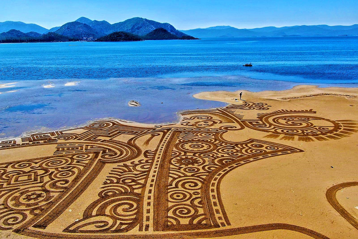 66099373_2389534197736626_7435257167323594752_o