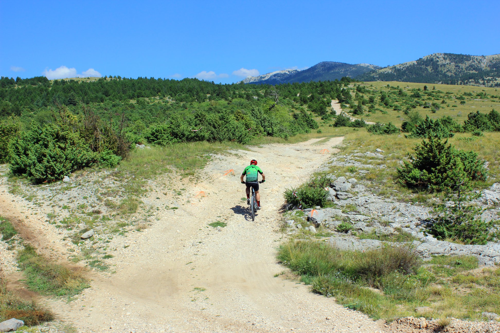 69492233_1253120744892208_5232392424302575616_o