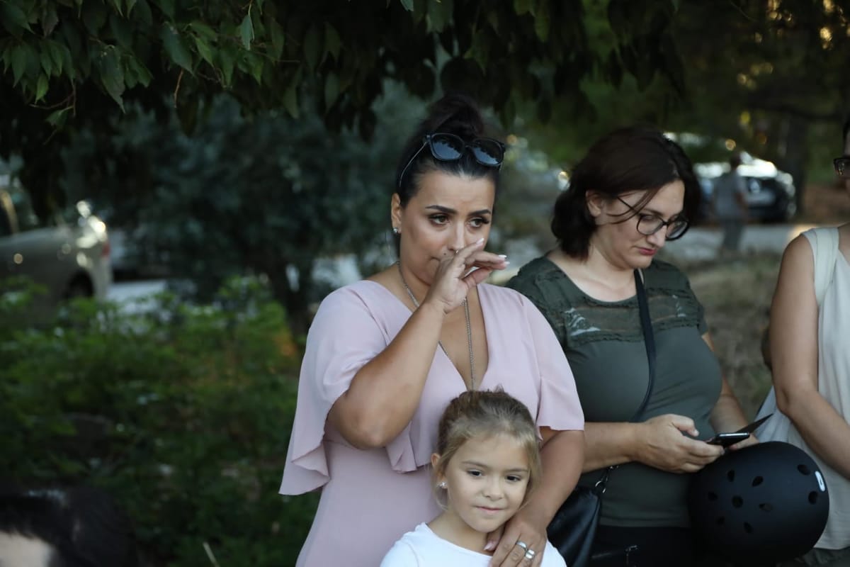 70010206_747112705728237_7261387270454771712_n