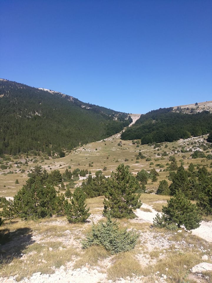 70171359_2634343503293986_789616843877777408_n