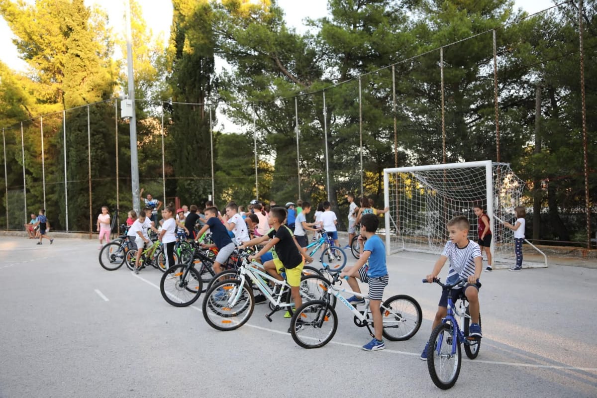 70503819_2667433206817695_5700660351964545024_n