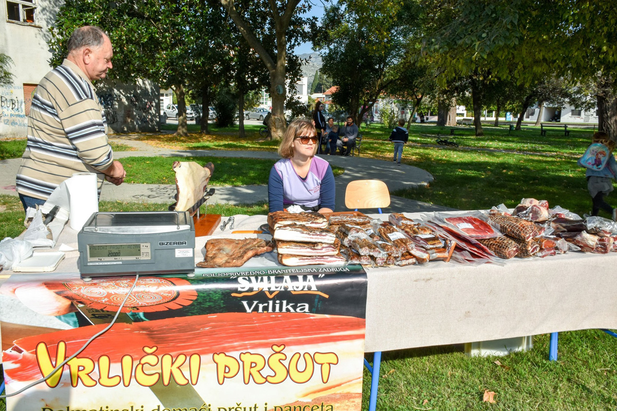 72490262_3173813962690183_8708562456298913792_o