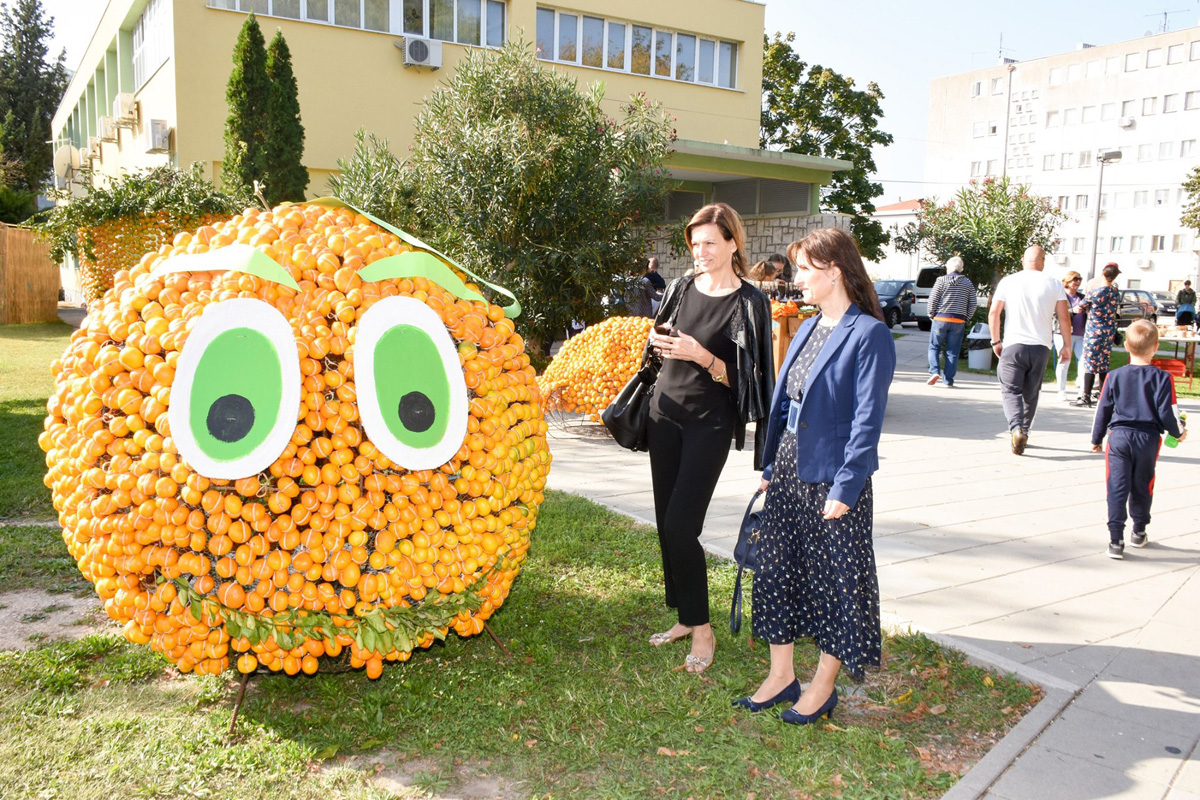 74596683_3173804949357751_707910356701282304_o