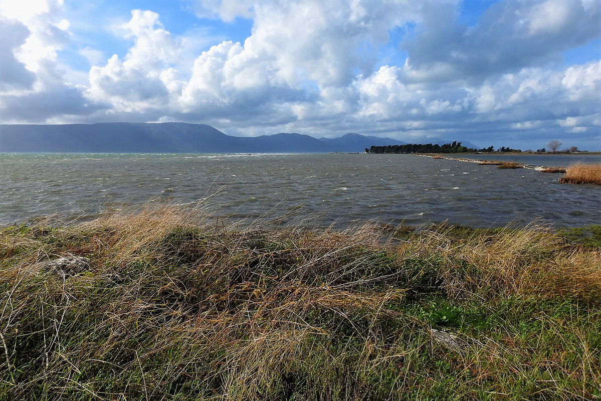 73395340_2649093508467445_4191802258859491328_o