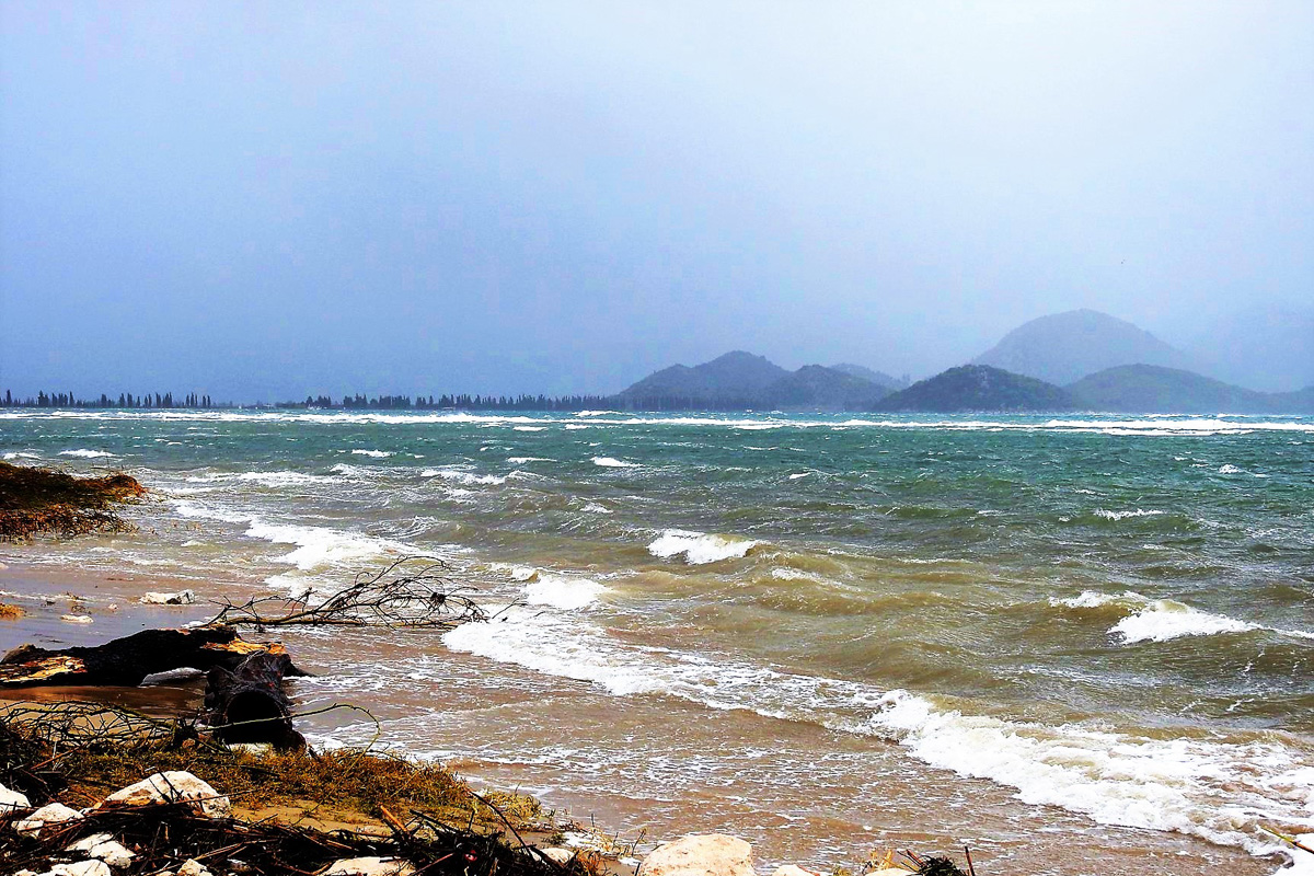 74527621_2649091491800980_7385350278704267264_o