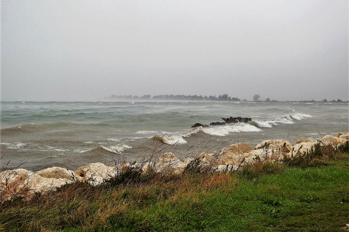 74614036_2649091318467664_4704388601134186496_o