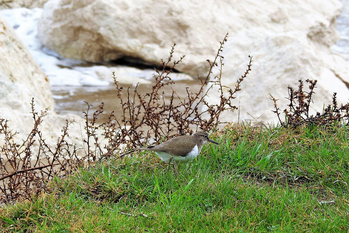 74799410_2649093301800799_2369603465170124800_o