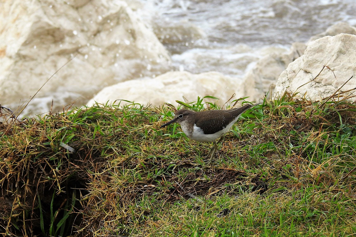 77290788_2649093278467468_883876201905520640_o