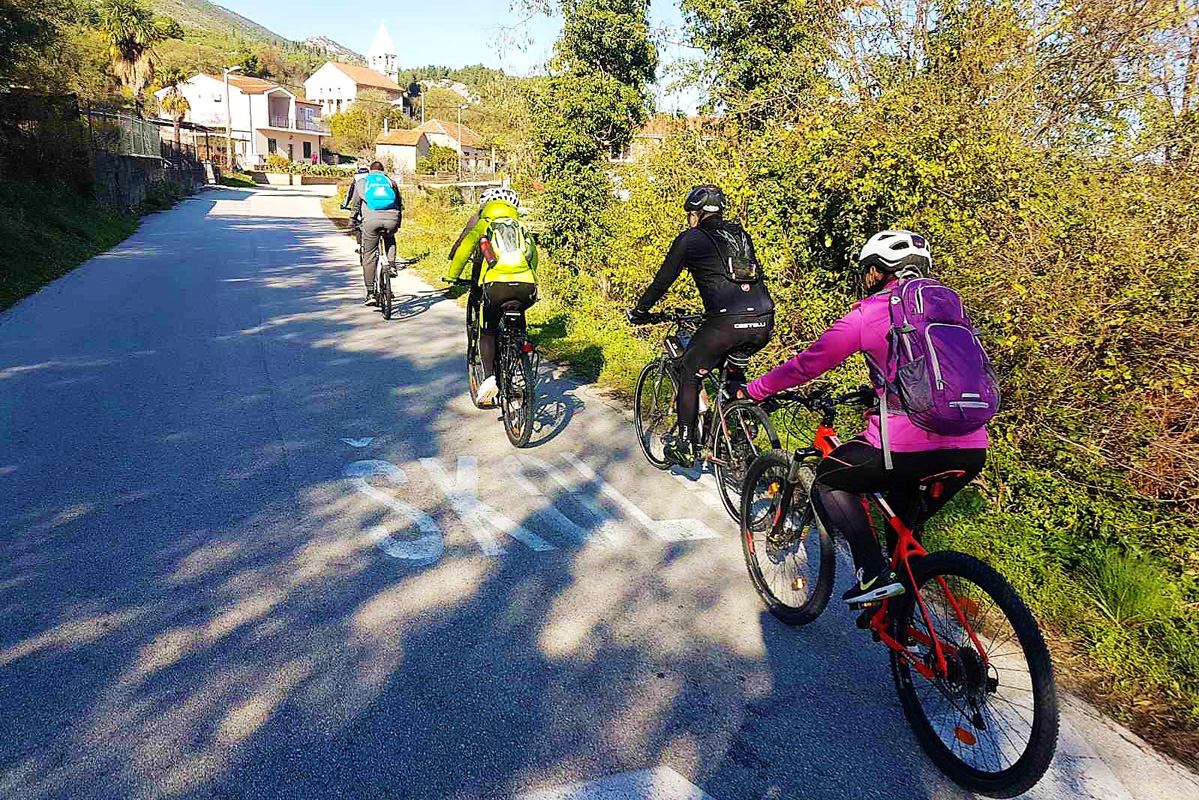 IMG-bffc29d709ca251df07a3988f687bbf1-V