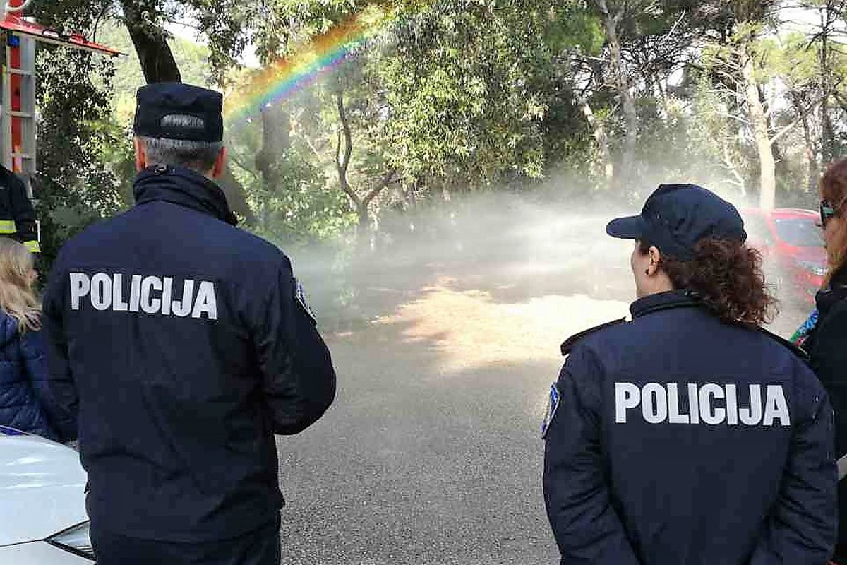 IMG-81a6faeaa34cd7a1da082c0ee1ac8b2b-V