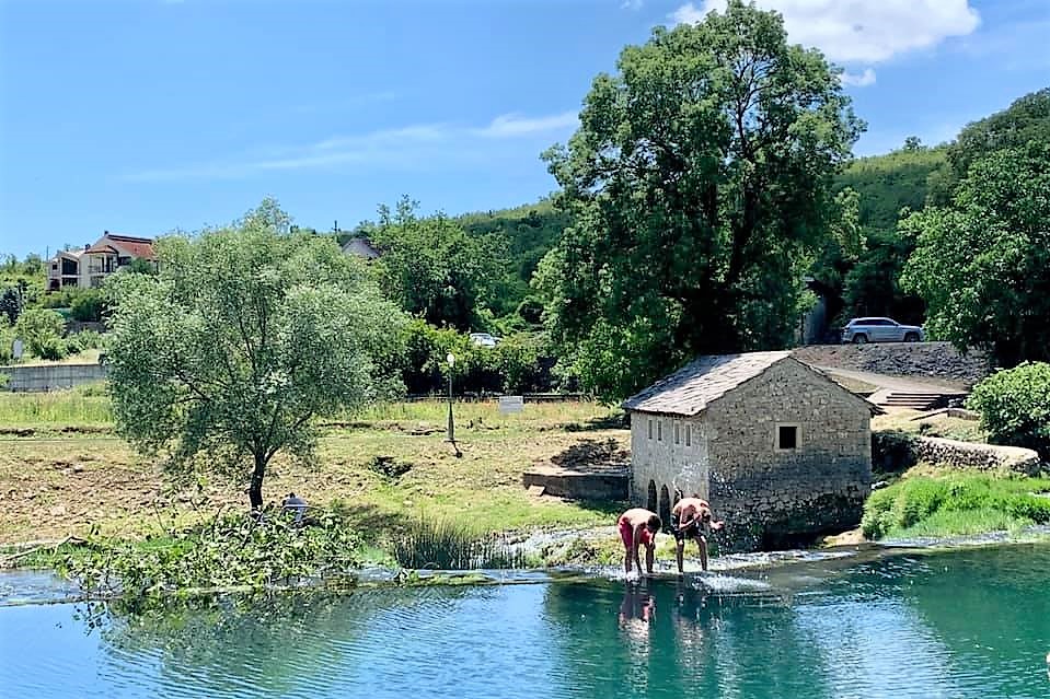 102384531_3943189595754090_3017272363170536803_n