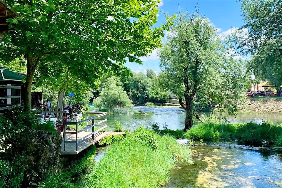 102773529_3943190559087327_3826523192499813540_n