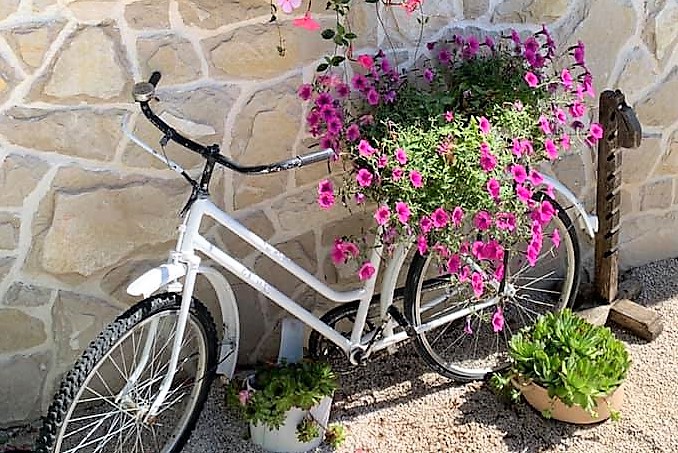 103102737_3943188685754181_5605405786438098485_n