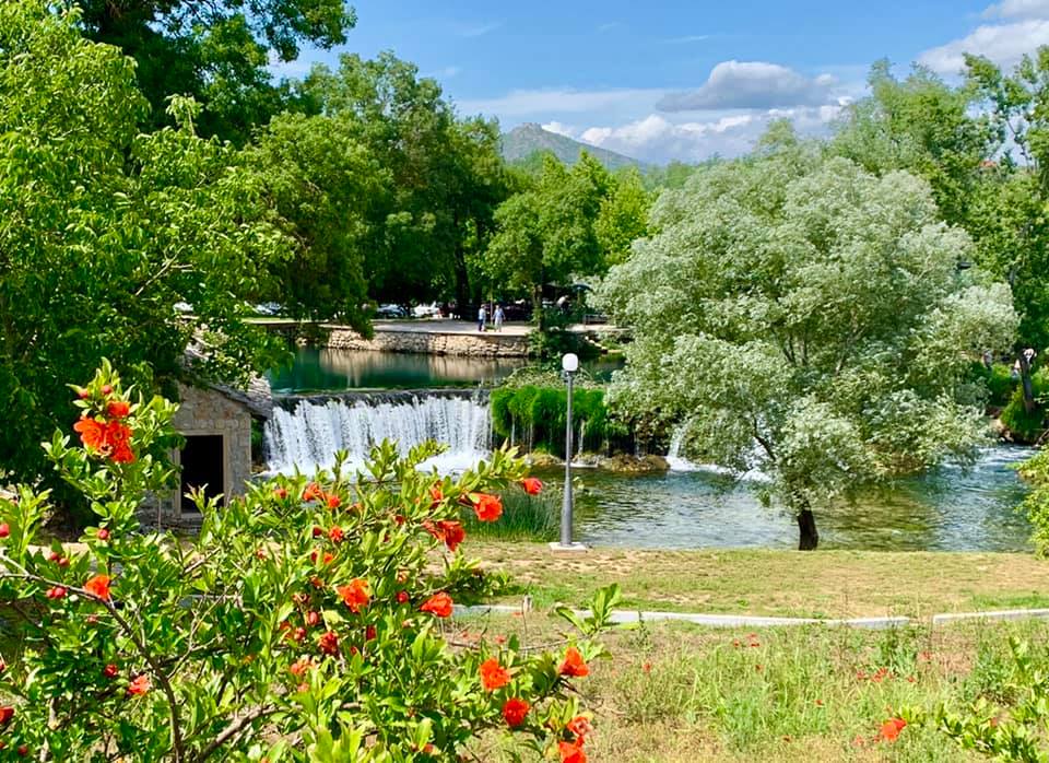 103140693_3943189639087419_332143224230250853_n