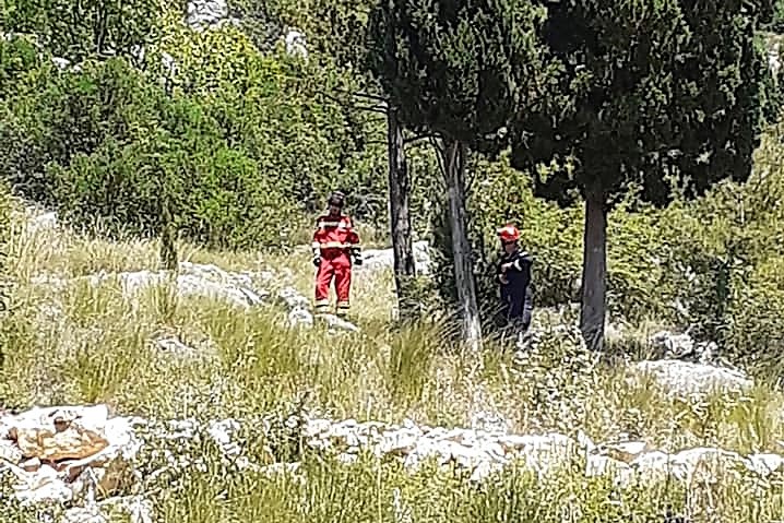 103972261_263632574957396_4227625420366265944_n