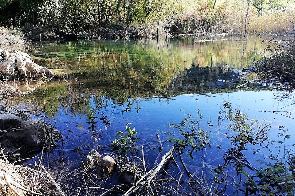 121803802_359344025379708_1959405162396845787_n