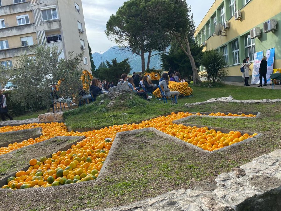 Dani mandarine Opuzen 18