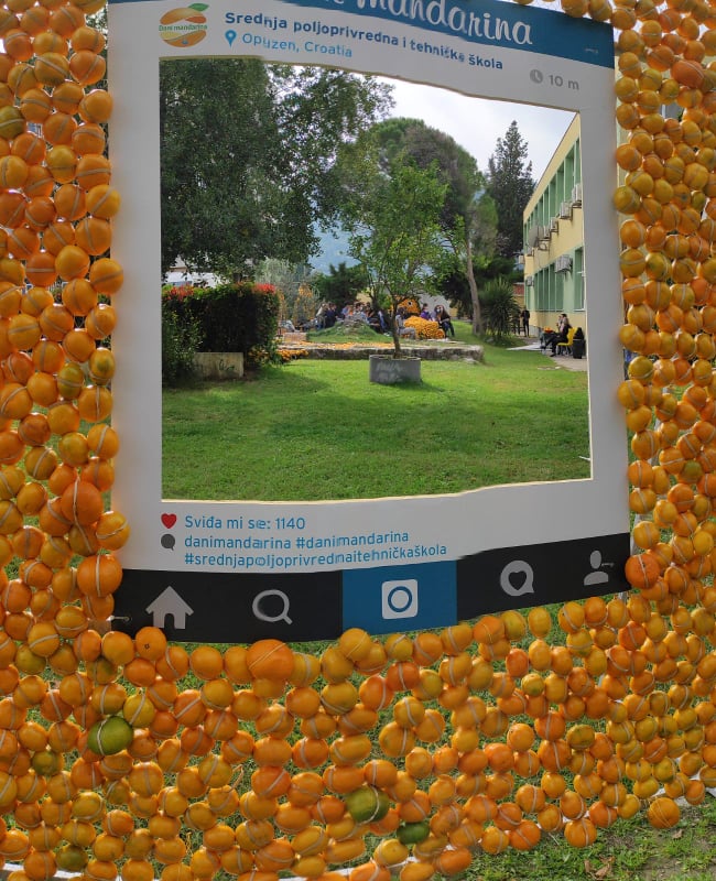 Dani mandarine Opuzen 3