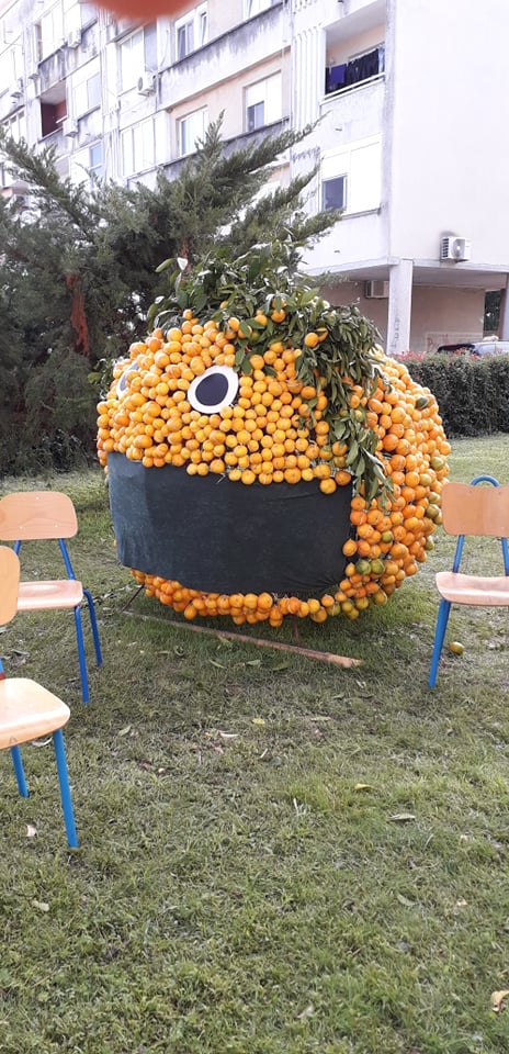 Dani mandarine Opuzen 8