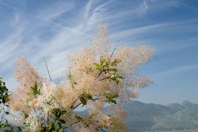 CRW_0109