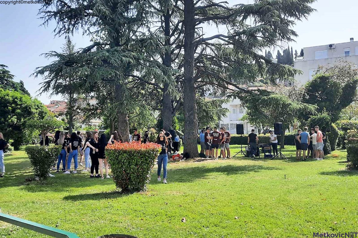 IMG-5de2c211608537b3118819fd73f88656-V