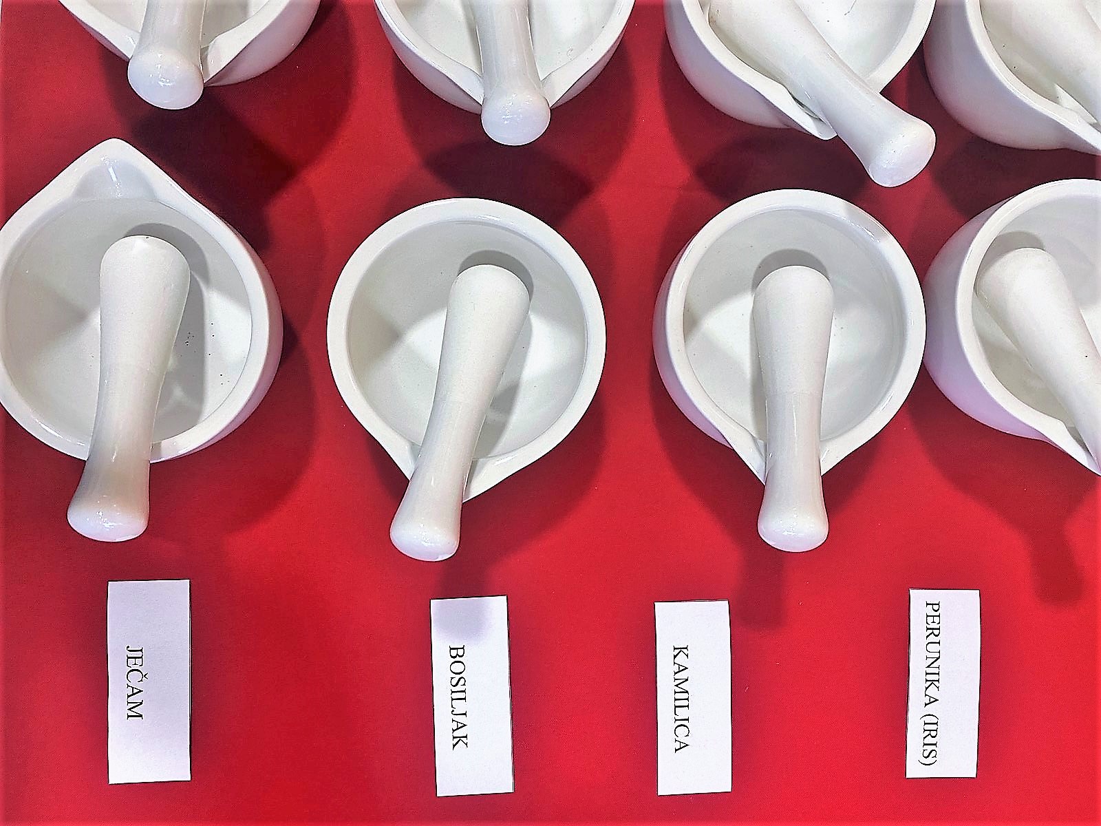 IMG-bc6d9c63b3b53d009228250749a287d5-V