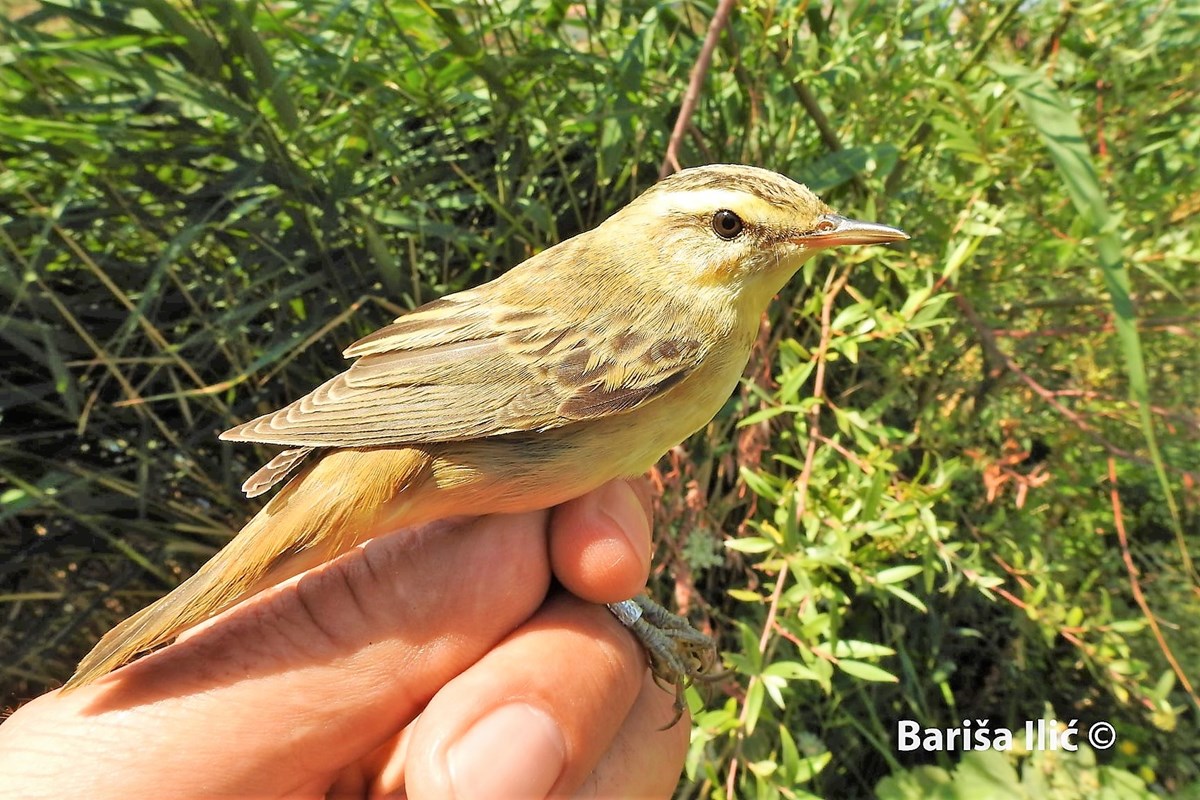 239976563_4371845642858881_5729624467870424465_n