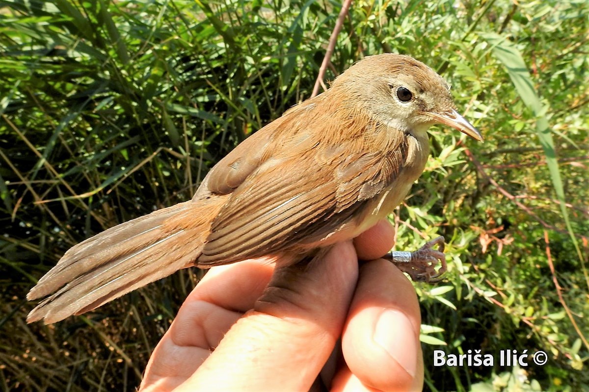 240090619_4371845269525585_4100238829169377392_n