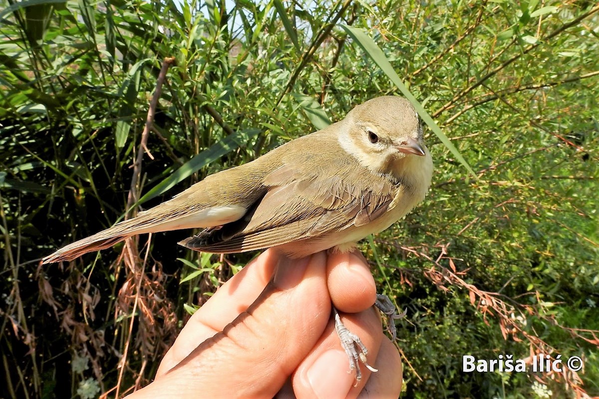 240098856_4371845426192236_422176980063239470_n