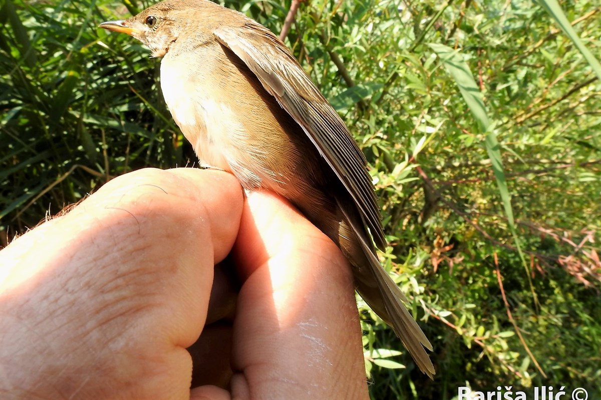 240158688_4371845892858856_2762639515353033200_n