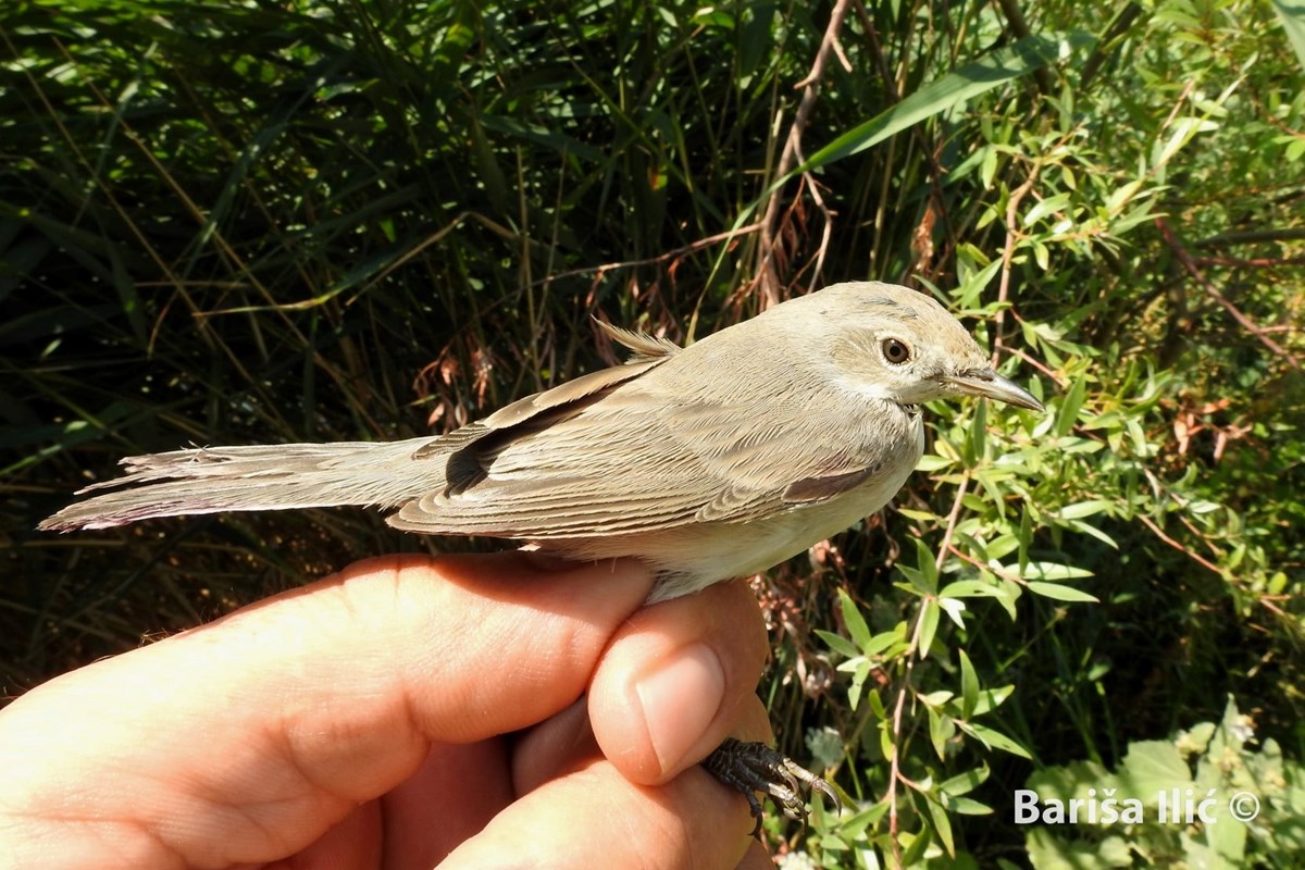 240170957_4371845559525556_7270110801575934825_n