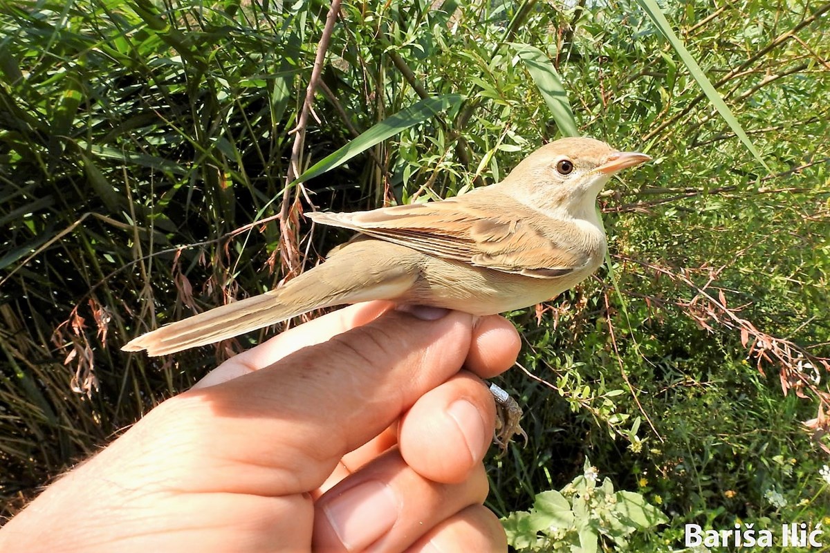 240187531_4371845689525543_7807866444126140695_n