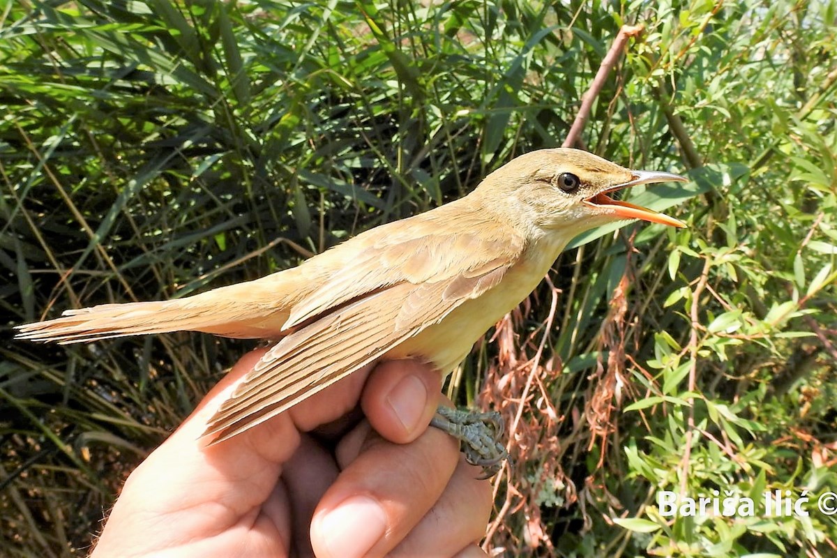 240193993_4371844909525621_8073464631041039138_n