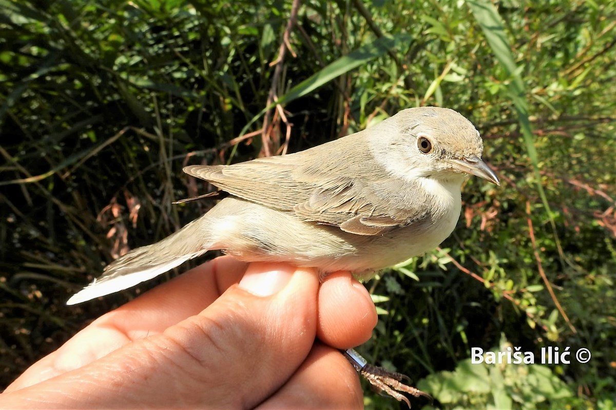 240254271_4371844972858948_5833555317483881244_n